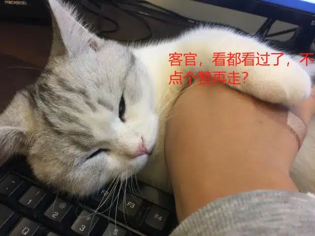 正常通关错过一大半！《黑神话：悟空》黄风寨隐藏支线攻略-14